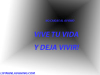 avismo